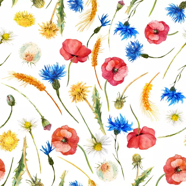 Tischset Feldblumen Wiese