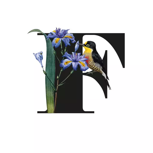 Kissen Botanical Alphabet F