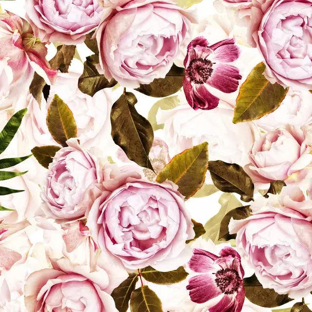 Flächenvorhang Sepia Vintage Rosen
