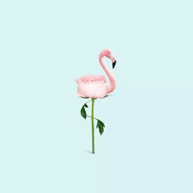 Kissen Flamingo Flower