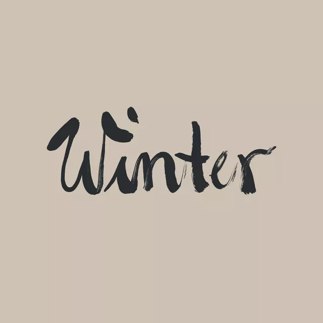 Kissen Winter