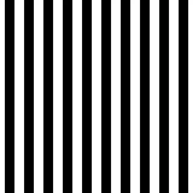 Kissen Stripes Coco | schwarz
