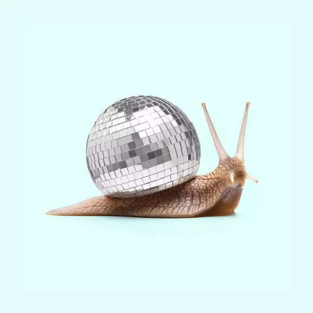 Bettwäsche Disco Snail