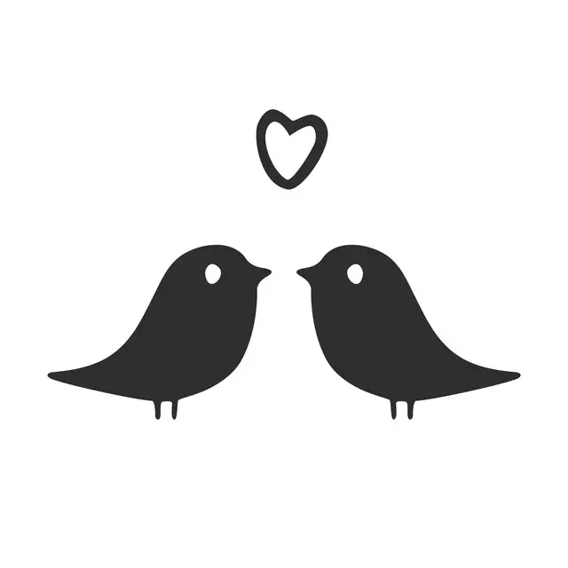 Kissen Vogel Liebe