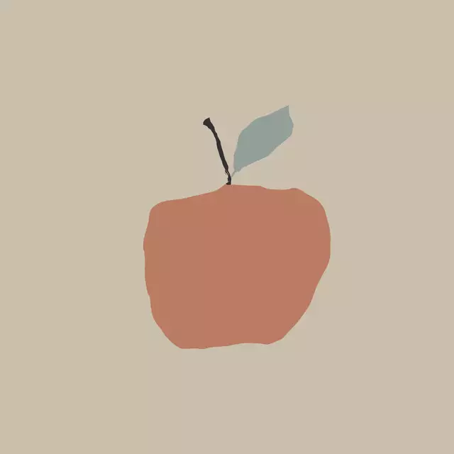 Kissen Apfel