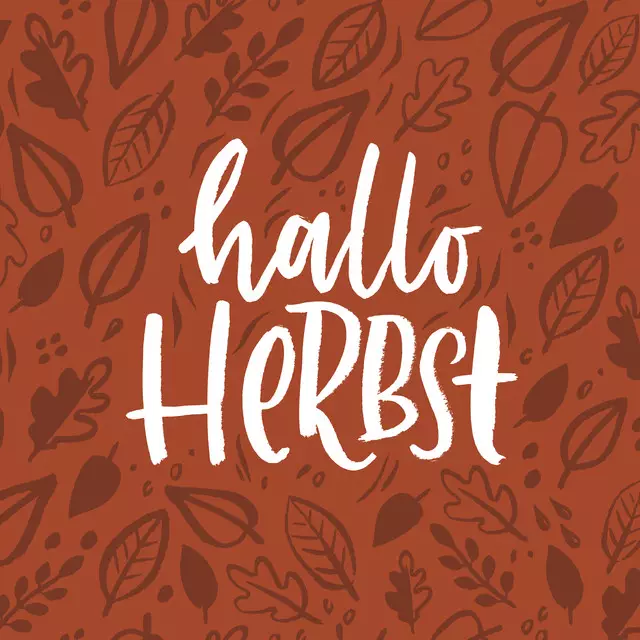 Kissen Hallo Herbst terracotta