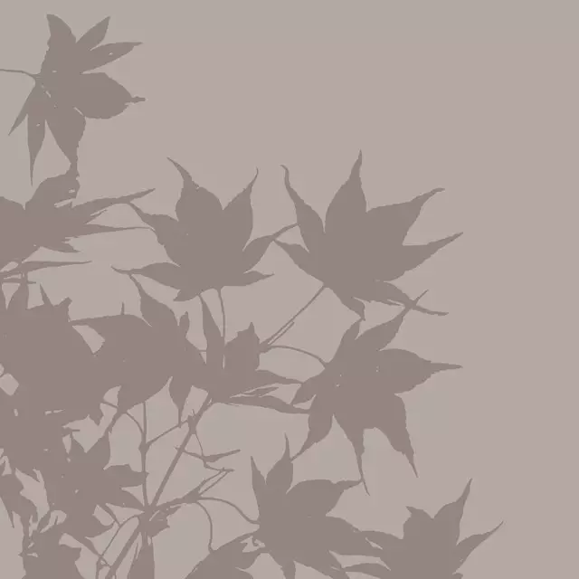 Kissen Autumn Silhouettes 2