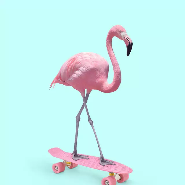 Servietten Skate Flamingo