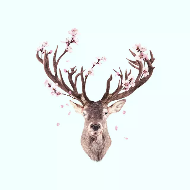 Kissen Cherry Blossom Deer
