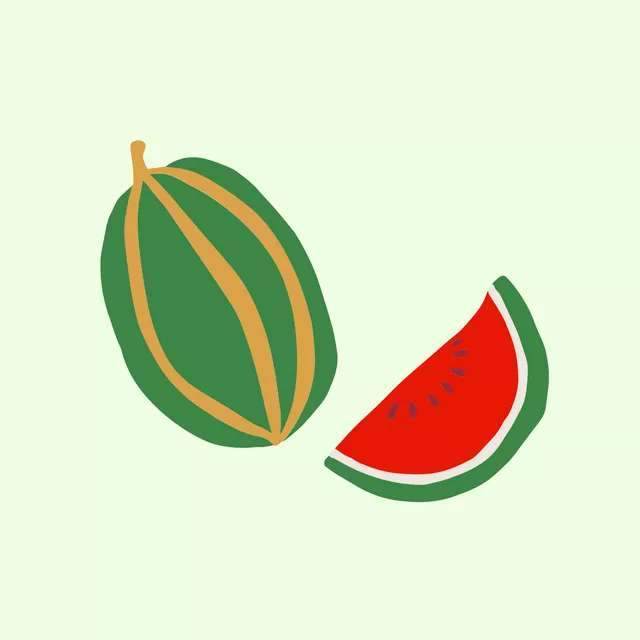 Kissen Wassermelone 1