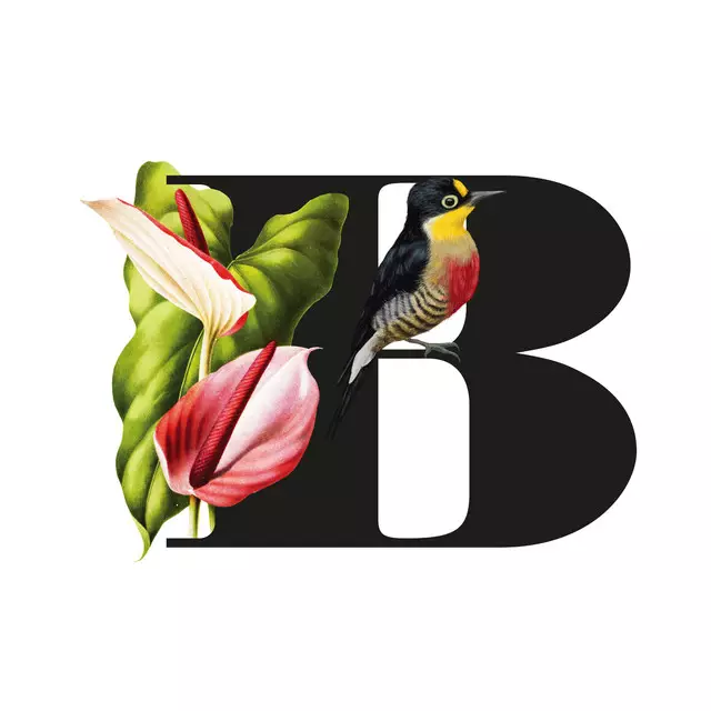 Kissen Botanical Alphabet B