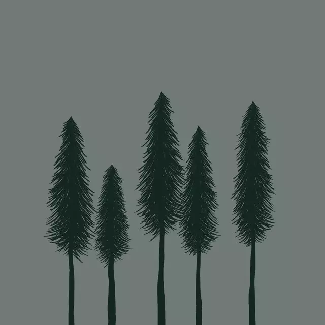 Kissen Mørkegrøn Skov