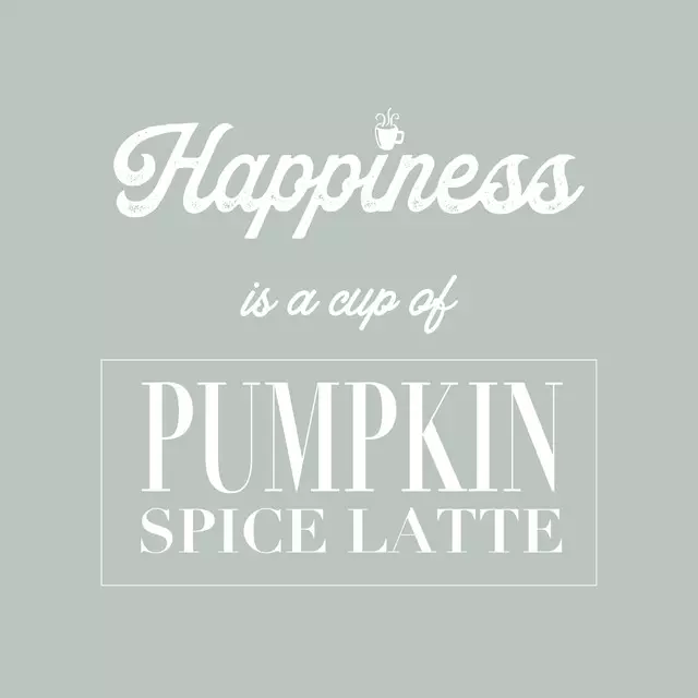 Kissen Pumpkin Spice Happy Quote