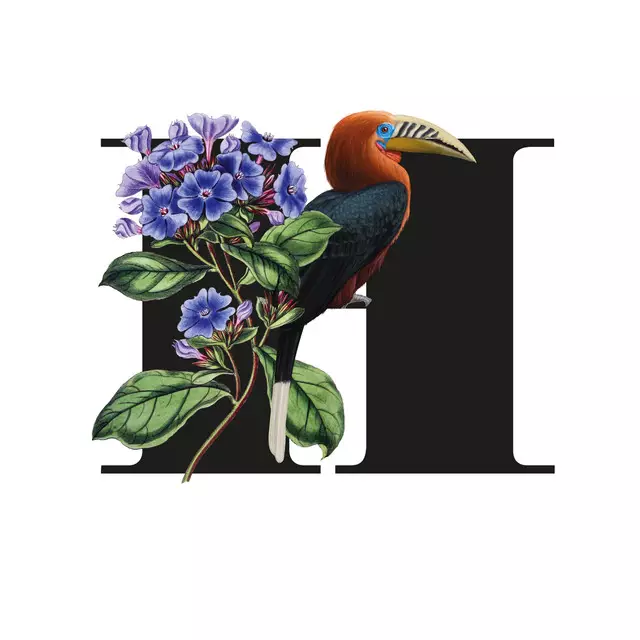 Kissen Botanical Alphabet H