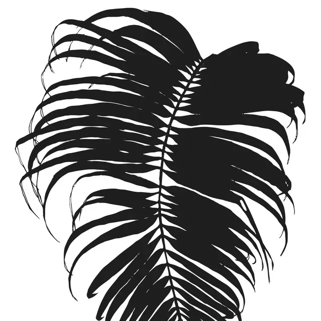 Servietten Butterfly Palm Leaf - Black