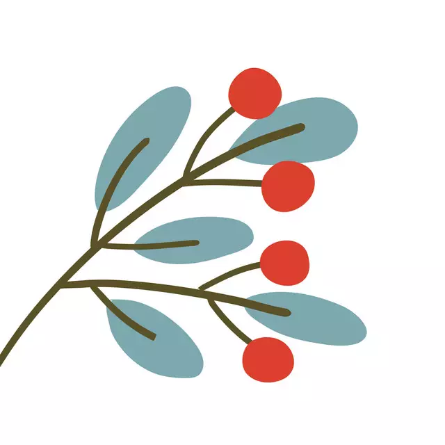 Kissen Mistletoe and Kisses Zweig 1