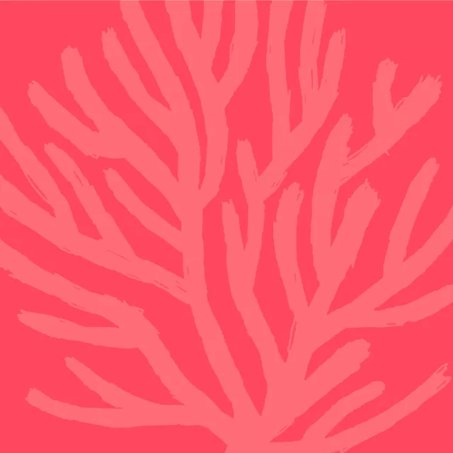 Tischset Vibrant Summer - Koralle rot