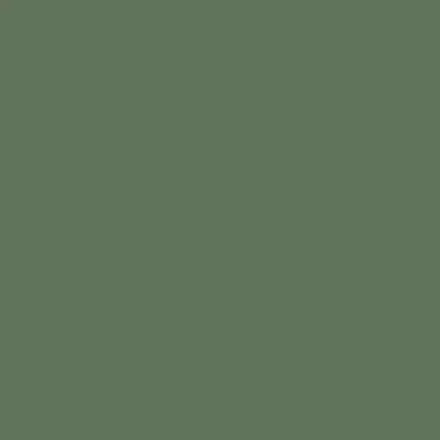 Flächenvorhang colors Dunkelgrün