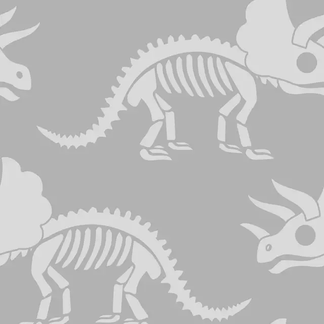 Bettwäsche Dinosaurierskelett Triceratops