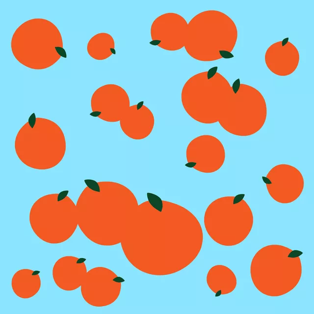 Kissen Orangen