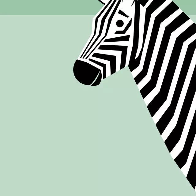 Kissen Zebra