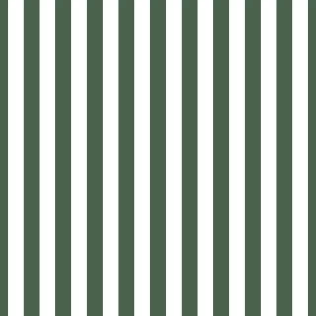 Kissen Vintage Stripe Green Small
