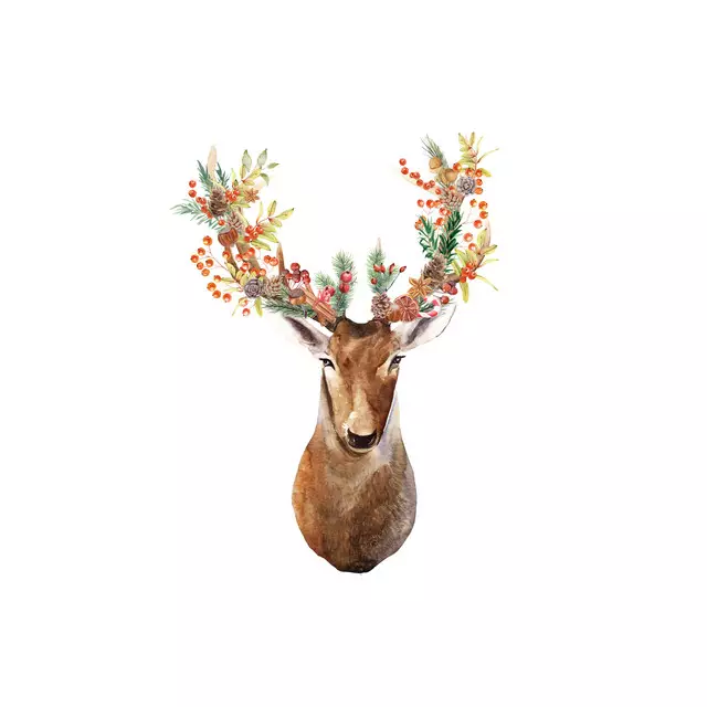 Bettwäsche Weihnachts Hirsch