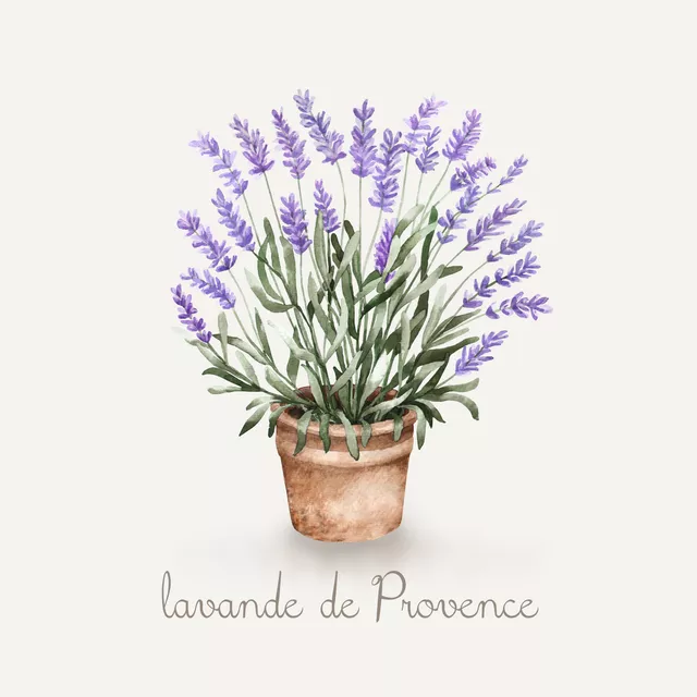 Kissen Lavande De Provence