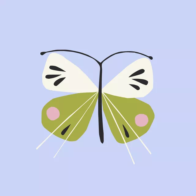 Kissen Schmetterling