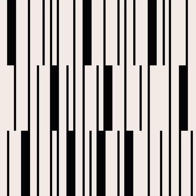 Dekovorhang Lines & Stripes | schwarz