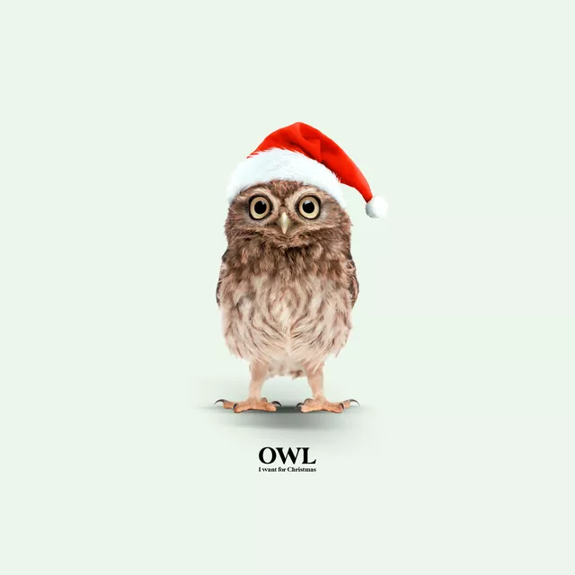 Sitzkissen Owl I Want For Christmas