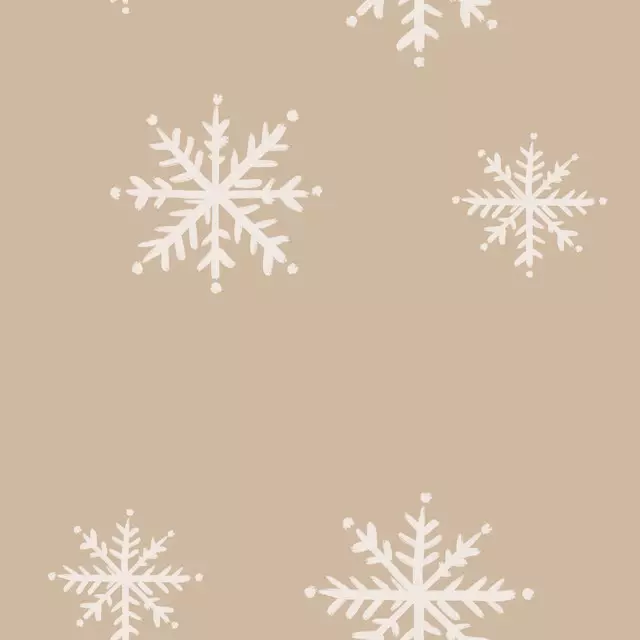 Bankauflage snowflake