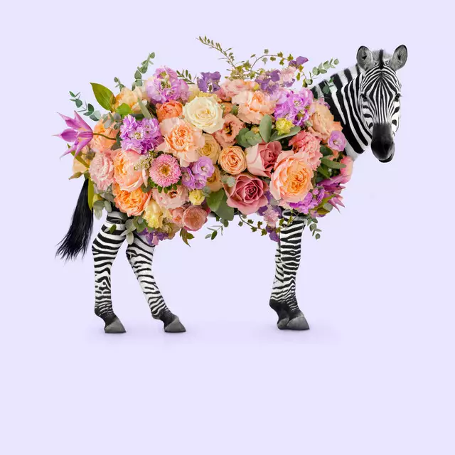 Kissen Floral Zebra
