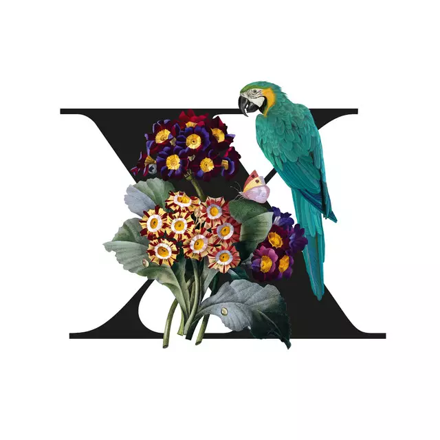 Kissen Botanical Alphabet X