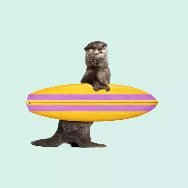 Kissen Surfing Otter