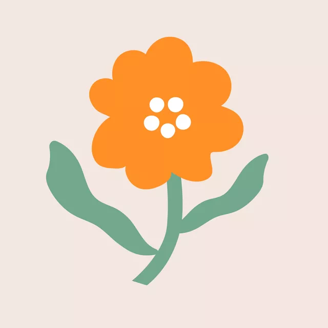 Kissen Liva Flower Orange-Green