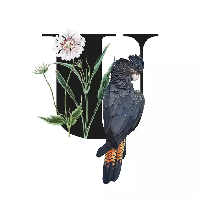 Kissen Botanical Alphabet U