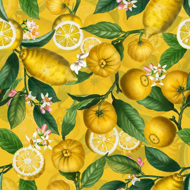 Kissen Zitronen Limonade 5