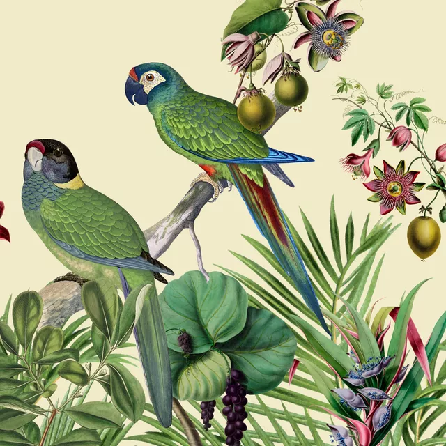 Kissen Jungle Vibes Parrots Island
