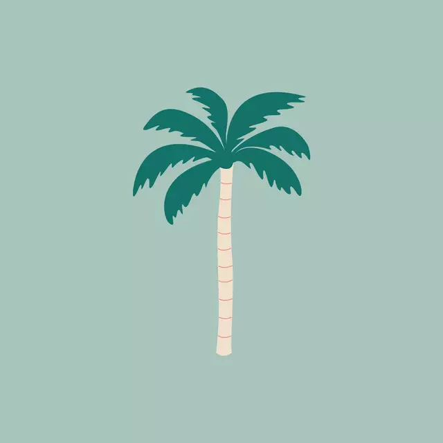 Tischset Summer Palmtree Aqua