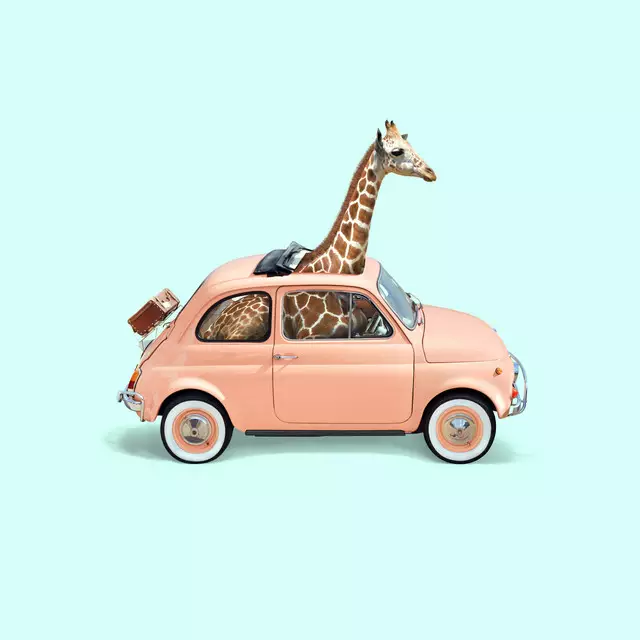 Kissen Giraffe Car
