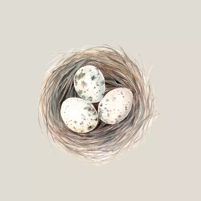 Geschirrtuch Nest mit 3 Eiern