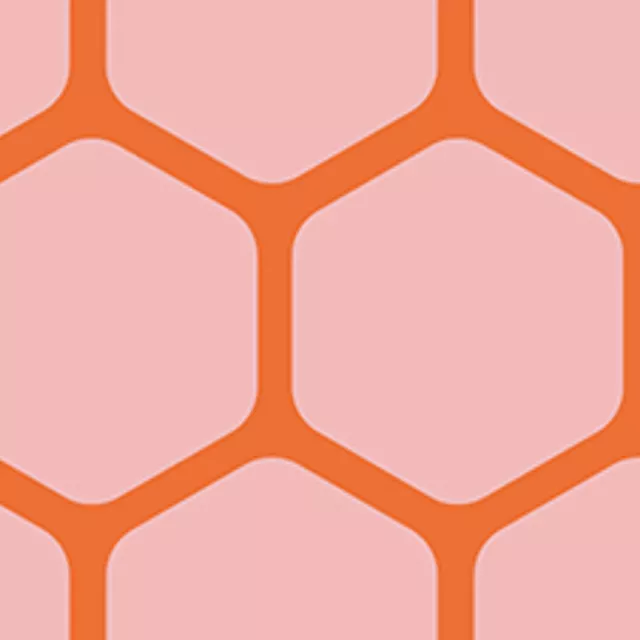 Kissen Honeycomb rosa rot