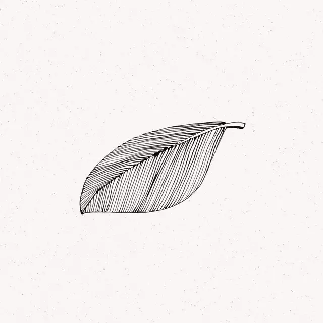Kissen Ink Leaf