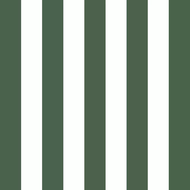 Flächenvorhang Vintage Stripe Green