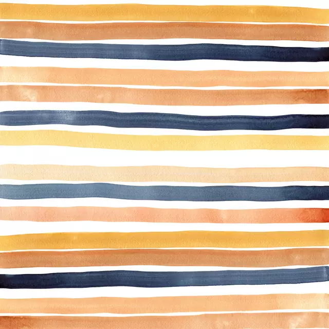 Flächenvorhang Summer Stripes