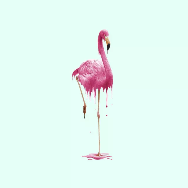 Kissen Melting Flamingo