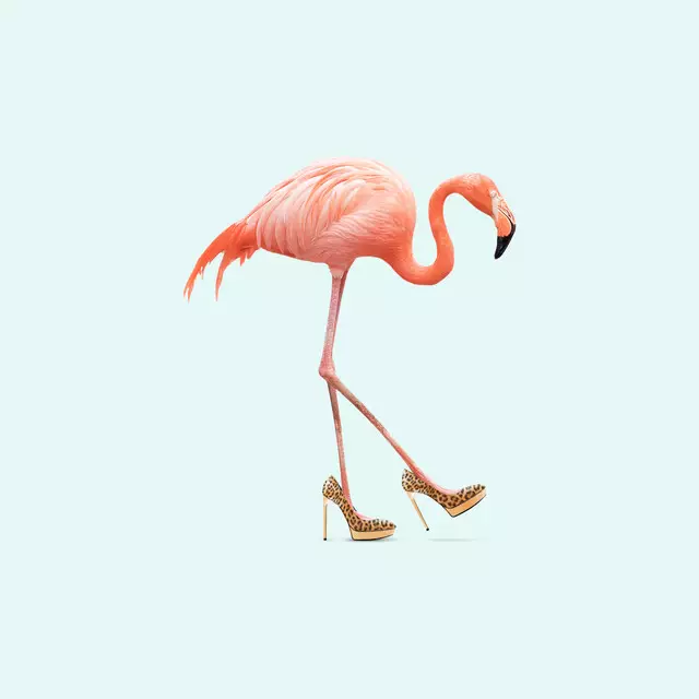 Kissen Fancy Flamingo