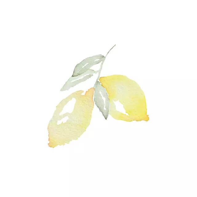 Kissen Lemon Garden