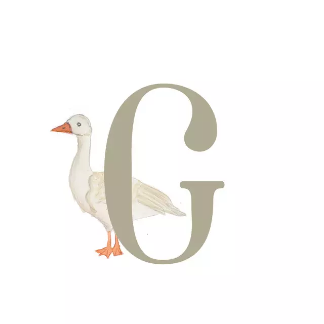 Kissen G-Gans